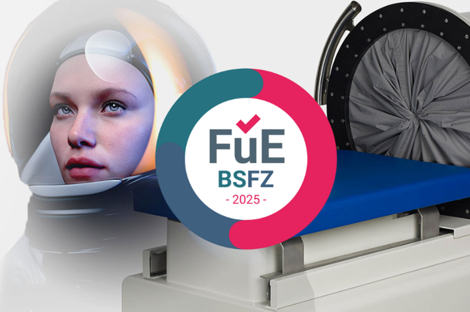 bsfz-ziegel bsfz-ziegel